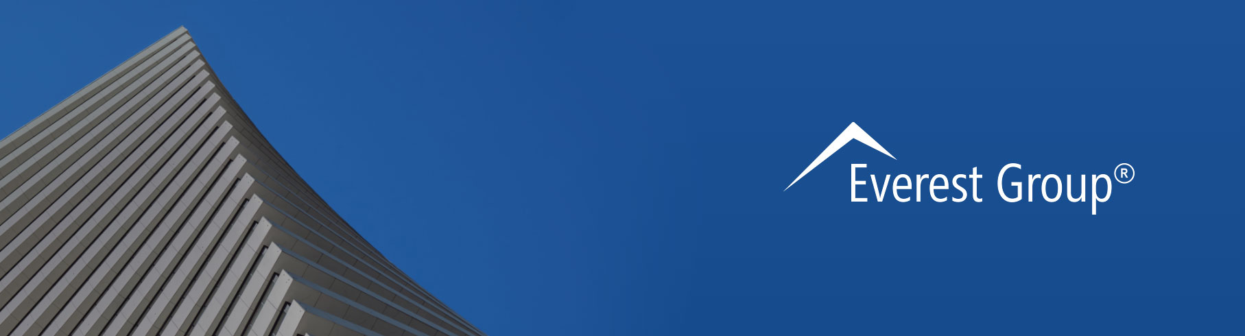 everest-banner